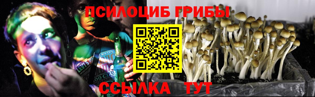 Псилоцибиновые грибы MAGIC MUSHROOMS  Галлюциногенные грибы Magic Shrooms  Вход с VPN  Димитровград 